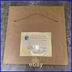 Beck Hansen Signed Vinyl Album BECK Mellow Gold With Proof With Frame