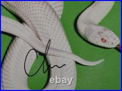 Deftones JSA Autograph Signed Album Vinyl Record Chino Moreno