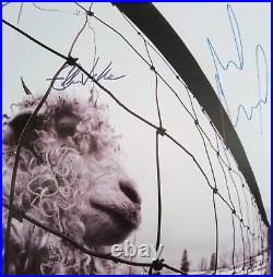 Pearl Jam Autographed Signed Vs Vinyl Record Album Eddie Mike Stone