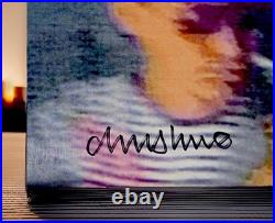 Pet Shop Boys 2 Signed Albums 12 Vinyl Disco & 2nd Album Cover (No Vinyl)