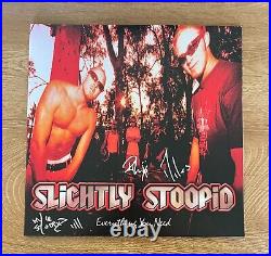 SLIGHTLY STOOPID signed vinyl album EVERYTHING YOU NEED 1