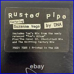Suzanne Vega SIGNED Rusted Pipe Promo Vinyl Record Album Cover COA GV933572