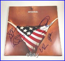 The Black Crowes Signed Autographed Amorica Vinyl Album PROOF