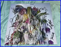 Wilco Signed Vinyl Album Cousin All 6 Members Jeff Tweedy And More With Proof